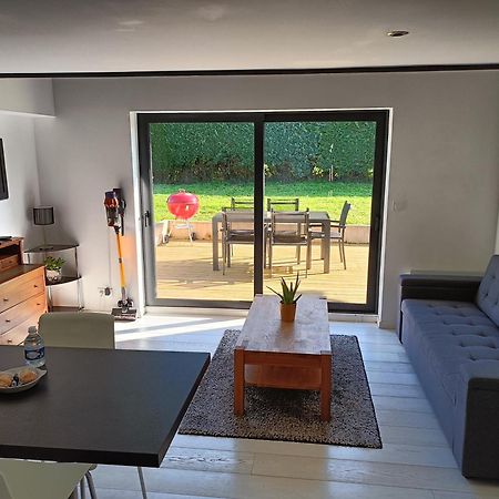 Appartement 30 M2 Neuf + Terrasse Brindas Экстерьер фото