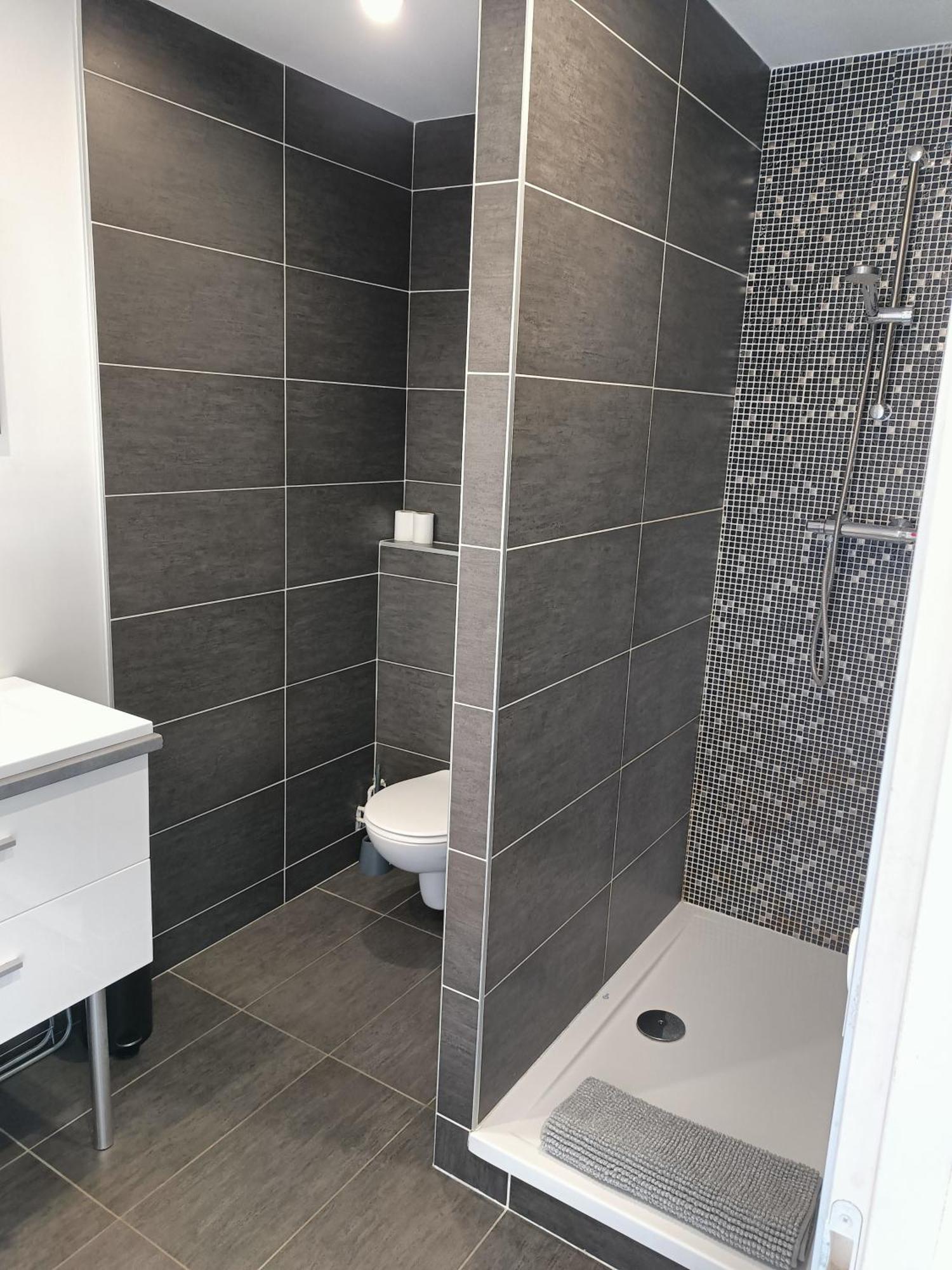 Appartement 30 M2 Neuf + Terrasse Brindas Экстерьер фото
